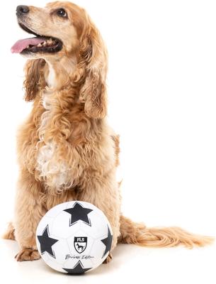 Show full view: FuzzYard Soccer Ball Squeaky Plush Dog Toy slide 2 of 6