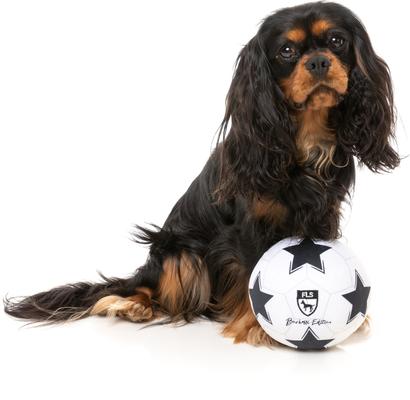 Show full view: FuzzYard Soccer Ball Squeaky Plush Dog Toy slide 3 of 6