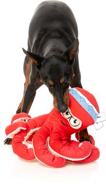 Show full view: FuzzYard Takoyaki Squeaky Plush Dog Toy slide 3 of 6