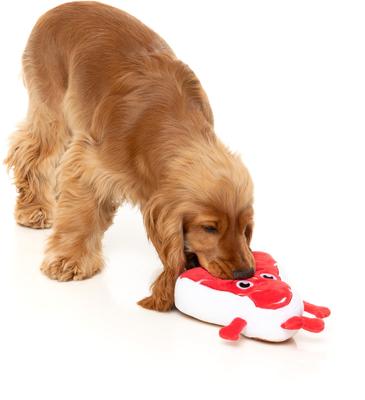 Show full view: FuzzYard Tim Tee-Bowne Squeaky Plush Dog Toy slide 4 of 8