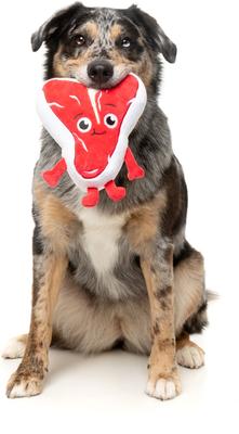 Show full view: FuzzYard Tim Tee-Bowne Squeaky Plush Dog Toy slide 3 of 8