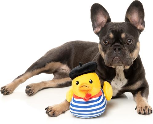 Show full view: FuzzYard Timothee Chalaquack Squeaky Plush Dog Toy, Large slide 5 of 11