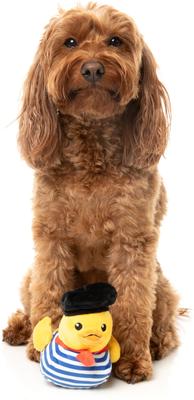 Show full view: FuzzYard Timothee Chalaquack Squeaky Plush Dog Toy, Small slide 4 of 10