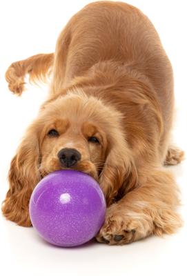 Show full view: FuzzYard Truth Tellin' Treat Ball Treat Dispensing Dog Toy slide 5 of 11