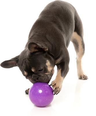 Show full view: FuzzYard Truth Tellin' Treat Ball Treat Dispensing Dog Toy slide 3 of 11