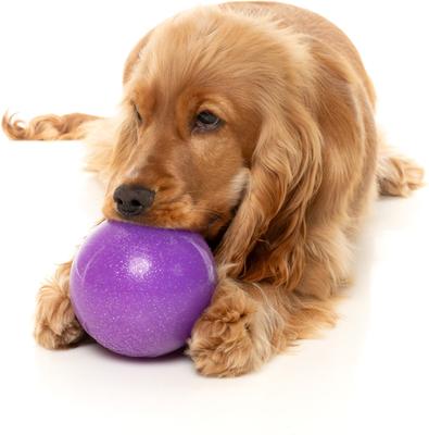 Show full view: FuzzYard Truth Tellin' Treat Ball Treat Dispensing Dog Toy slide 4 of 11