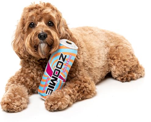 Show full view: FuzzYard Zoomie Energy Drink Squeaky Plush Dog Toy slide 2 of 6