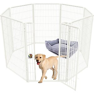 dog&co 　POINT-H Amazon.com: PawHut Outdoor Dog Kennel, Heavy Duty Dog Run