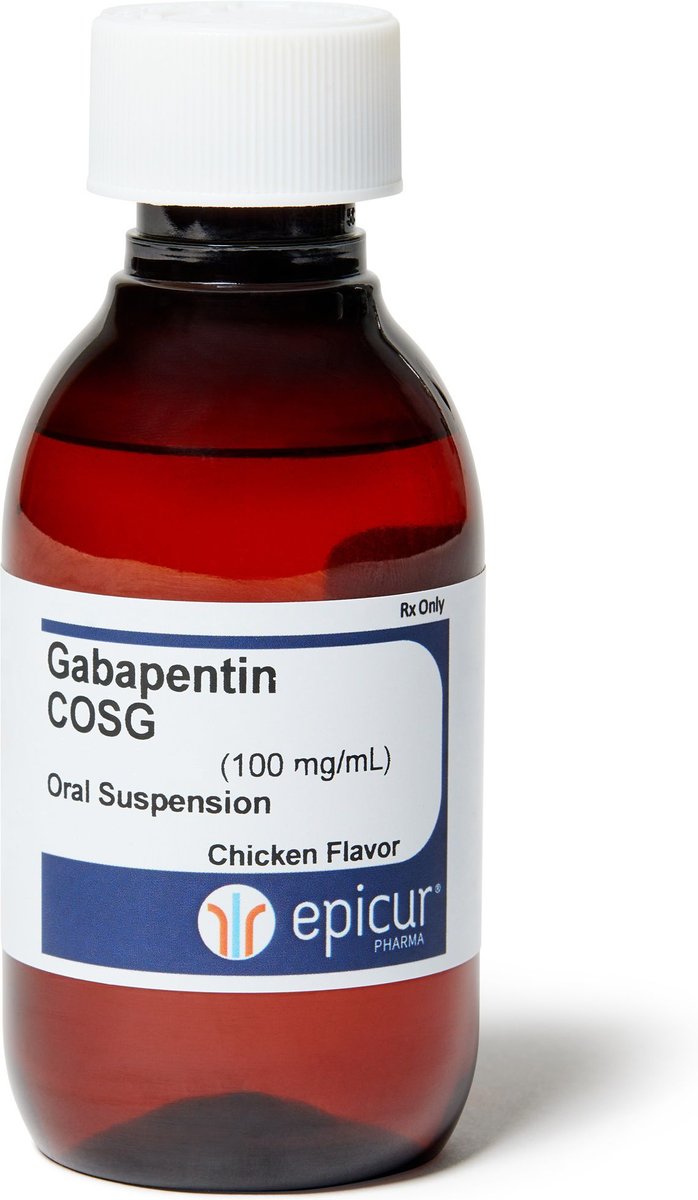 gabapentin easy definition