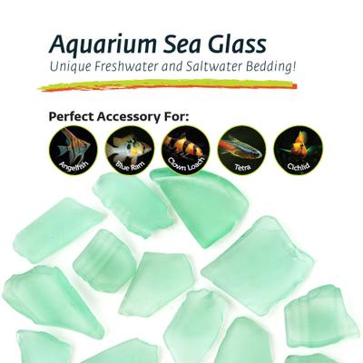 Show full view: Galapagos Aquarium Sea Glass, 4-lb bag, Sage Green slide 3 of 5