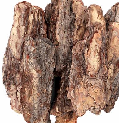 Show full view: Galapagos Basking Bark Terrarium Wood, Natural slide 3 of 7