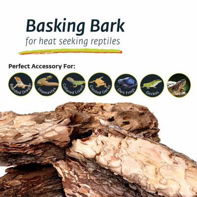 Show full view: Galapagos Basking Bark Terrarium Wood, Natural slide 6 of 7