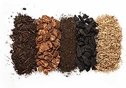 Galapagos Bioactive Soil Tropical Soil Substrate Reptile Bedding, 8-qt bag slide 2 of 6
