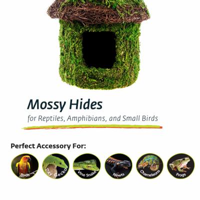 Show full view: Galapagos Bungalow Deco Birdhouse, Fresh Green slide 4 of 5