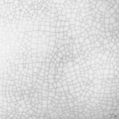 Show full view: Galapagos Ceramic Egg Reptile Bowl, White, Medium slide 4 of 6