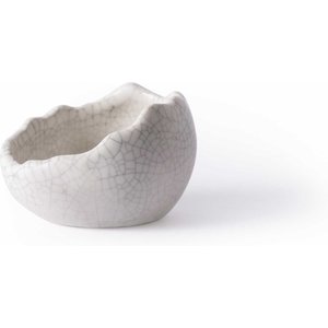 Galapagos Ceramic Egg Reptile Bowl, White, Small