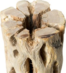 Galapagos Cholla Wood Branch Terrarium Accessory, Regular, 24-in slide 2 of 3