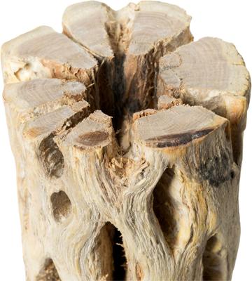 Show full view: Galapagos Cholla Wood Branch Terrarium Accessory, Regular, 24-in slide 2 of 4