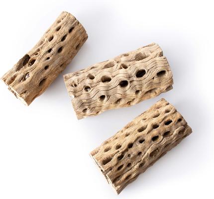 Show full view: Galapagos Cholla Wood Branch Terrarium Accessory, Regular, 6-in, 3 count slide 2 of 6