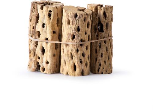 Show full view: Galapagos Cholla Wood Branch Terrarium Accessory, Regular, 6-in, 3 count slide 4 of 6