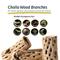 Show in main carousel: Galapagos Cholla Wood Branch Terrarium Accessory, Regular, 6-in, 3 count slide 5 of 6