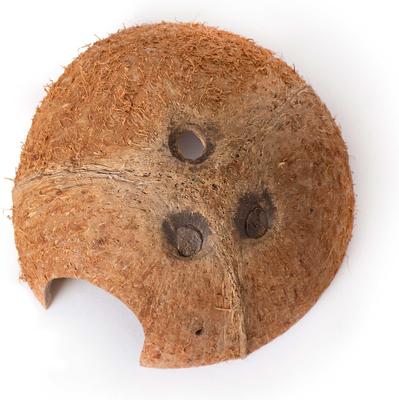 Show full view: Galapagos Coconut Hut Reptile Hideout, Natural slide 2 of 4