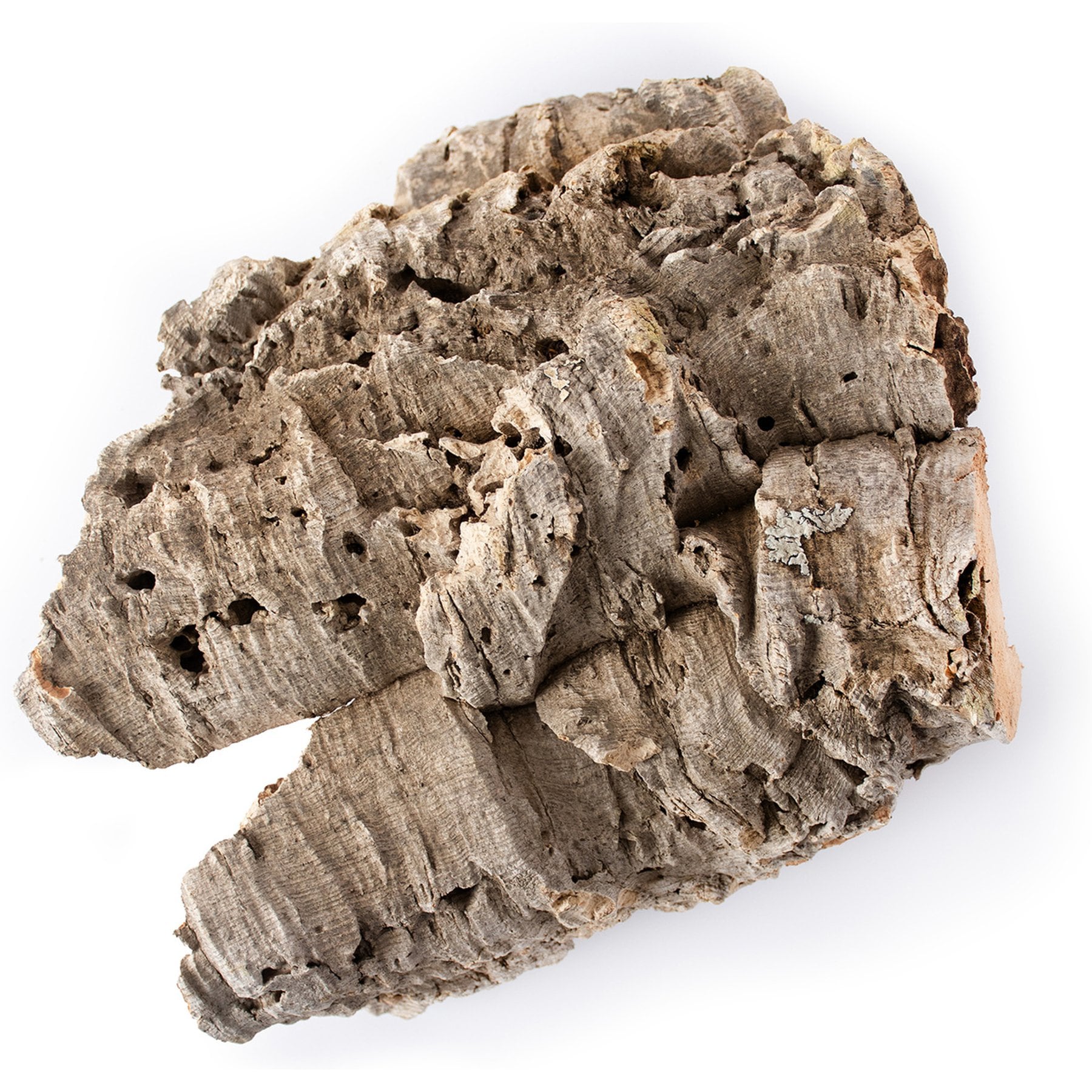 Galapagos Cork Bark Flat Ball-Python Terrarium-Wood, Natural, 6.9-in