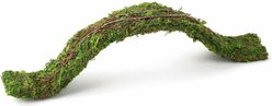 Galapagos Flexible Bridge Terrarium Ornament, Fresh Green, 24-in