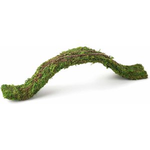 Galapagos Flexible Bridge Terrarium Ornament, Fresh Green, 24-in