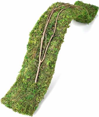 Show full view: Galapagos Flexible Bridge Terrarium Ornament, Fresh Green, 24-in slide 2 of 5