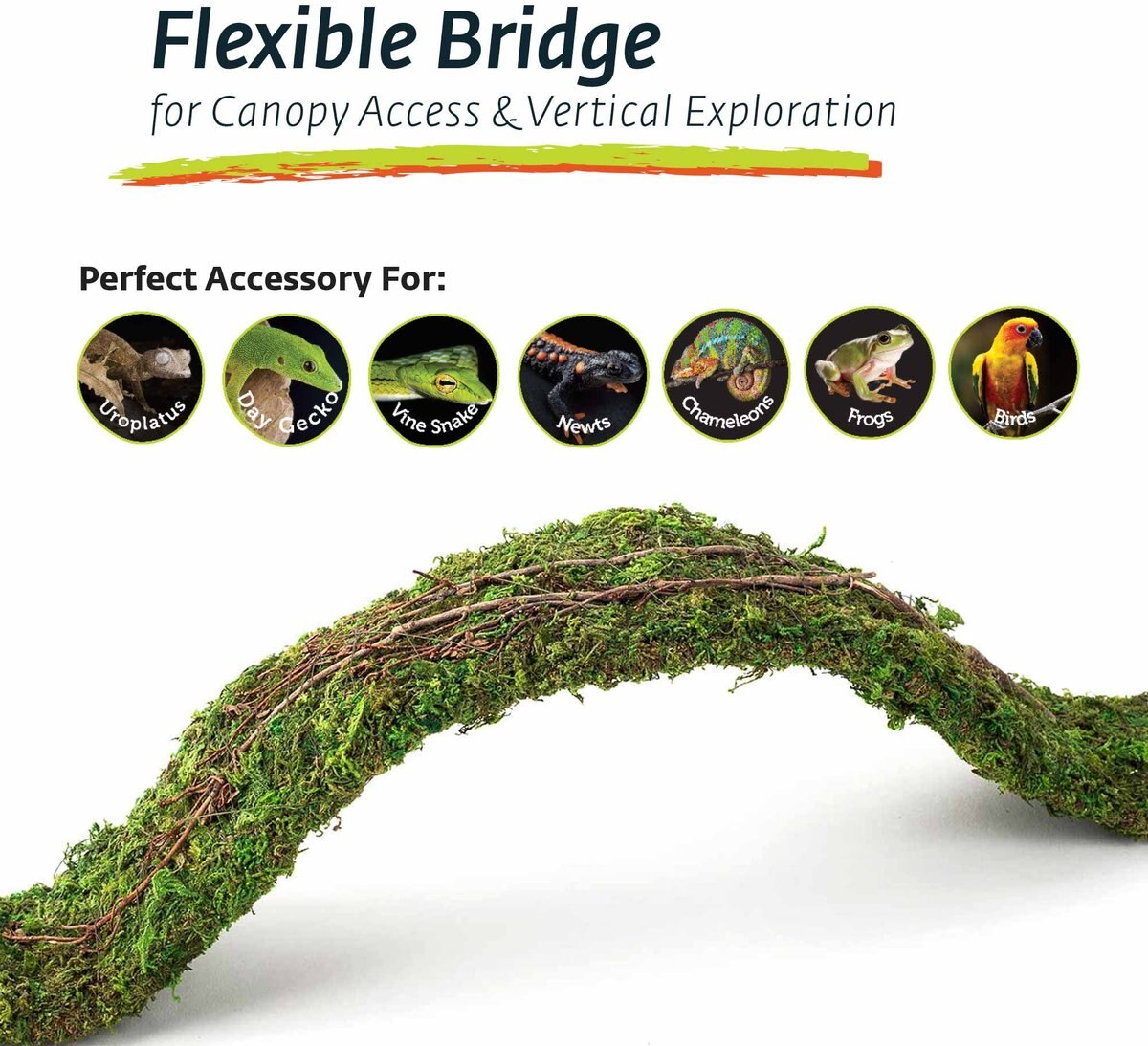Galapagos Flexible Bridge Terrarium Ornament, Fresh Green