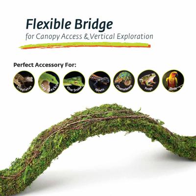 Show full view: Galapagos Flexible Bridge Terrarium Ornament, Fresh Green, 36-in slide 4 of 5