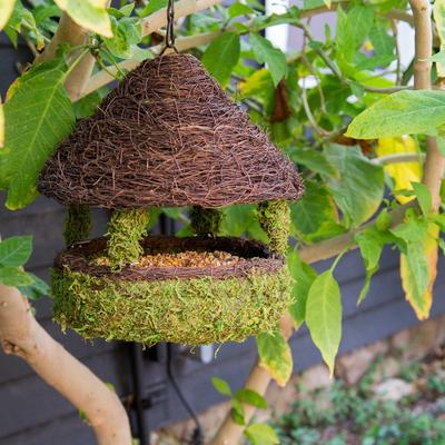 Show full view: Galapagos Gazebo Woven Birdhouse, Fresh Green slide 2 of 4