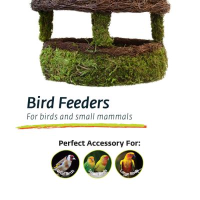 Show full view: Galapagos Gazebo Woven Birdhouse, Fresh Green slide 3 of 4