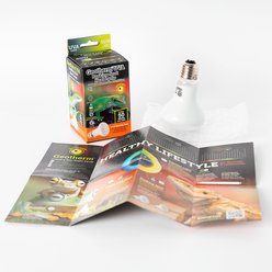 Galapagos Geotherm Reptile Basking Bulb, White, 50-watt slide 2 of 5