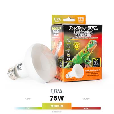 Show full view: Galapagos Geotherm Reptile Basking Bulb, White, 75-watt slide 1 of 5
