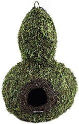 Galapagos Gourd Woven Birdhouse, Fresh Green