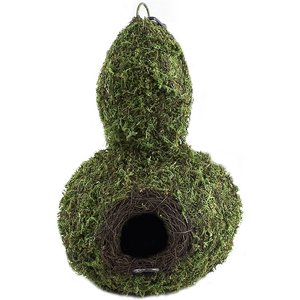 Galapagos Gourd Woven Birdhouse, Fresh Green