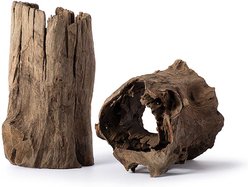 Galapagos Hollow Log Eucalyptus Root Terrarium Wood, Natural, 6 to 8-in