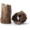 Show in main carousel: Galapagos Hollow Log Eucalyptus Root Terrarium Wood, Natural, 6 to 8-in slide 1 of 9