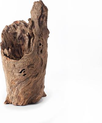 Show full view: Galapagos Hollow Log Eucalyptus Root Terrarium Wood, Natural, 6 to 8-in slide 9 of 9