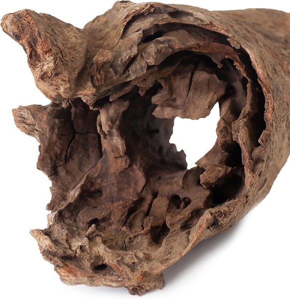 Galapagos Hollow Log Eucalyptus Root Terrarium Wood, Natural, 6 to 8-in