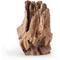 Show in main carousel: Galapagos Hollow Log Eucalyptus Root Terrarium Wood, Natural, 6 to 8-in slide 7 of 9