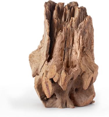 Show full view: Galapagos Hollow Log Eucalyptus Root Terrarium Wood, Natural, 6 to 8-in slide 7 of 9