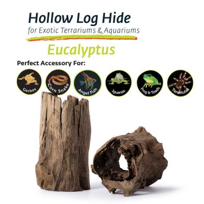Show full view: Galapagos Hollow Log Eucalyptus Root Terrarium Wood, Natural, 6 to 8-in slide 5 of 9