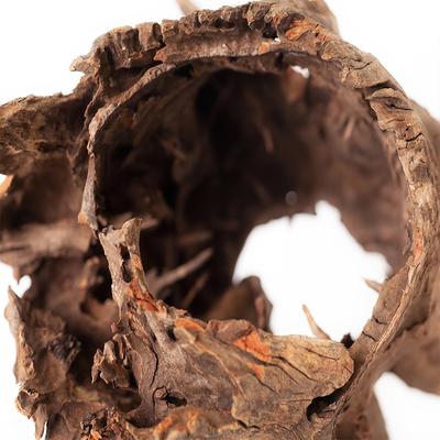 Show full view: Galapagos Hollow Log Eucalyptus Root Terrarium Wood, Natural, 6 to 8-in slide 6 of 9