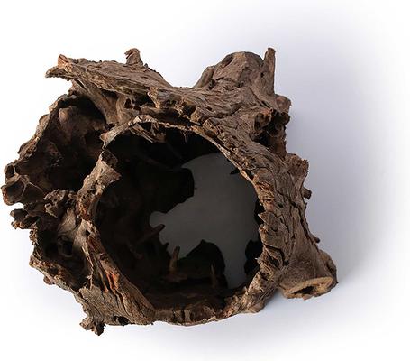 Show full view: Galapagos Hollow Log Eucalyptus Root Terrarium Wood, Natural, 6 to 8-in slide 2 of 9