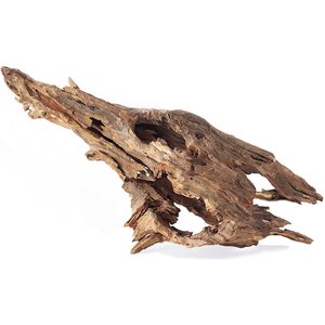 Galapagos Cholla Wood Branch Terrarium Accessory
