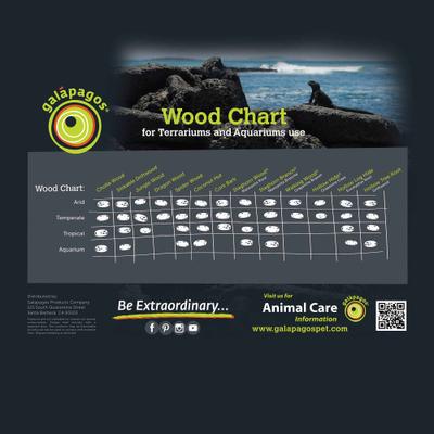 Show full view: Galapagos Hollow Tree Root Driftwood Terrarium Wood, Natural, 12 to 16-in slide 9 of 10