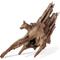 Show in main carousel: Galapagos Hollow Tree Root Driftwood Terrarium Wood, Natural, 12 to 16-in slide 7 of 10